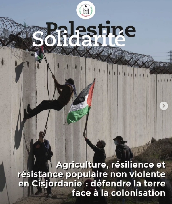 Agriculture, résilience et résistance populaire non violente en Cisjordanie : défendre la terre face à la colonisation
