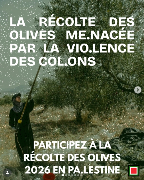 OCTOBRE 2026: REJOIGNEZ LA RÉCOLTE DES OLIVES EN PAL.ESTINE