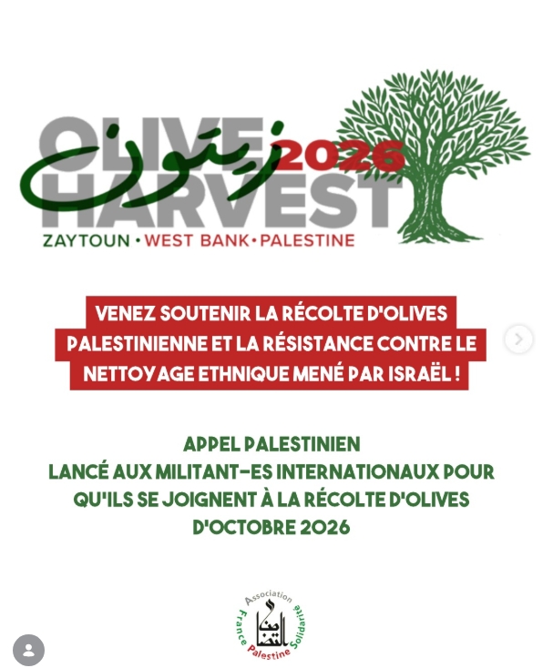 Campagne Zaytoun2026 🫒