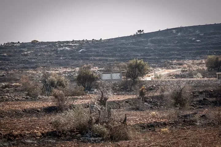 La guerre par les flammes : Israël brûle forêts et vergers au Sud-Liban